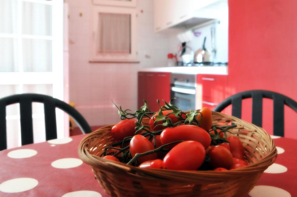 Cala Bernardo Apartment Calabernardo Room photo